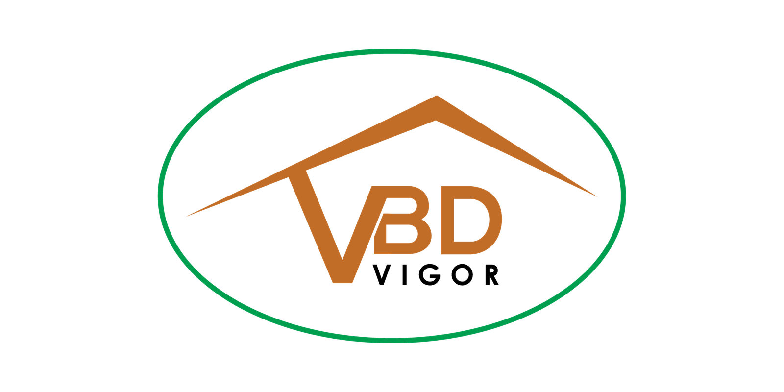 BD Vigor logo